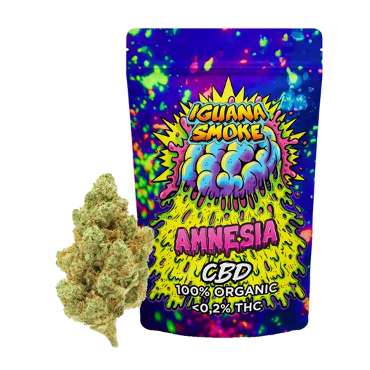 FLOR AMNESIA CBD