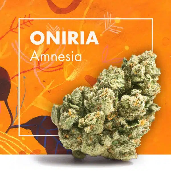 FLOR AMNESIA INDOOR CBD