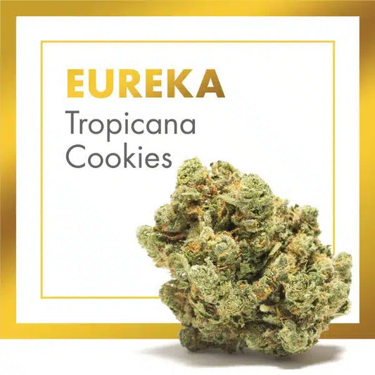 FLOR TROPICANA COOKIES CBD