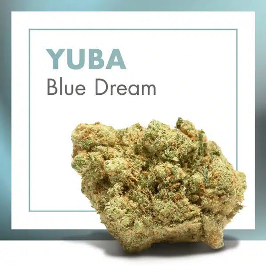 FLOR BLUE DREAM CBD